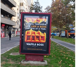 Novi Sad - A EXCLUSIVE CityLight - Bul. oslobođenja i Maksima Gorkog - ECL 9