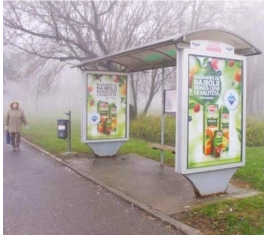 Novi Sad - Autobuska stajališta - Kisačka, sa Industrijskom