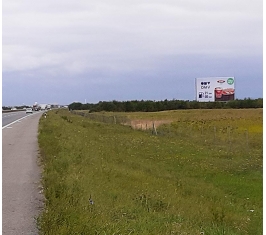 Auto put BG - ZG SZ02b