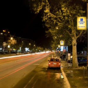 Novi Sad - Banderašice - Futoška pijaca