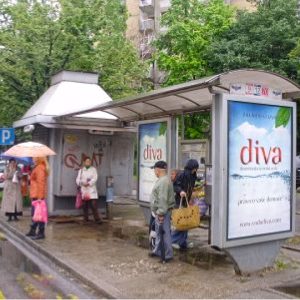 Novi Sad - Autobuska stajališta - Limanska pijaca, Bulevar cara Lazara