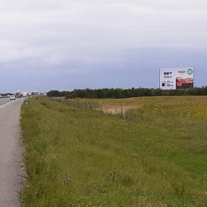 Auto put BG - ZG SZ02b