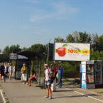 Beograd - BG D287